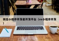 微信小程序開發(fā)者開發(fā)平臺（vx小程序開發(fā)）