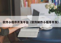 軟件小程序開發(fā)平臺（軟件制作小程序開發(fā)）