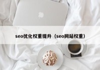 seo優(yōu)化權重提升（seo網站權重）