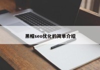 黑帽seo優(yōu)化的簡單介紹