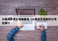 小程序開發(fā)公司哪里有（小程序開發(fā)制作公司在哪?）