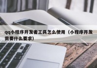 qq小程序開發(fā)者工具怎么使用（小程序開發(fā)需要什么要求）