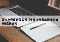 國內(nèi)小程序開發(fā)公司（小程序開發(fā)公司哪家好?哪家最好?）