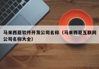 馬來西亞軟件開發(fā)公司名稱（馬來西亞互聯(lián)網(wǎng)公司名稱大全）