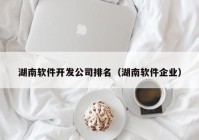 湖南軟件開發(fā)公司排名（湖南軟件企業(yè)）