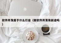 軟件開發(fā)屬于什么行業(yè)（做軟件開發(fā)有前途嗎）