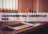 小程序開發(fā)使用哪個(gè)后臺(tái)（小程序用的什么開發(fā)語言）