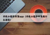 手機(jī)小程序開發(fā)app（手機(jī)小程序開發(fā)用什么語言）