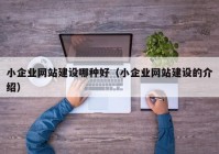 小企業(yè)網(wǎng)站建設(shè)哪種好（小企業(yè)網(wǎng)站建設(shè)的介紹）