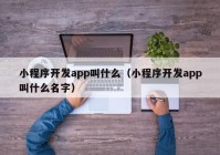 小程序開(kāi)發(fā)app叫什么（小程序開(kāi)發(fā)app叫什么名字）