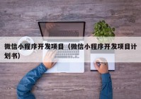 微信小程序開發(fā)項目（微信小程序開發(fā)項目計劃書）