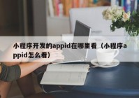 小程序開發(fā)的appid在哪里看（小程序appid怎么看）