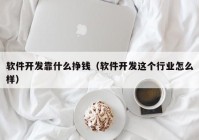 軟件開發(fā)靠什么掙錢（軟件開發(fā)這個行業(yè)怎么樣）