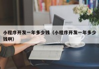 小程序開發(fā)一年多少錢（小程序開發(fā)一年多少錢啊）