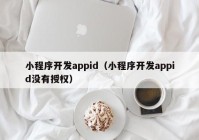 小程序開發(fā)appid（小程序開發(fā)appid沒有授權）