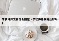 學軟件開發(fā)有什么前途（學軟件開發(fā)就業(yè)好嗎）